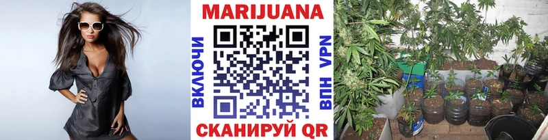 Марихуана Bruce Banner Краснокамск